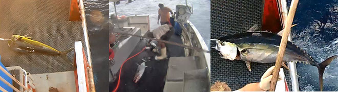 TNC-FF-landing-page-banner