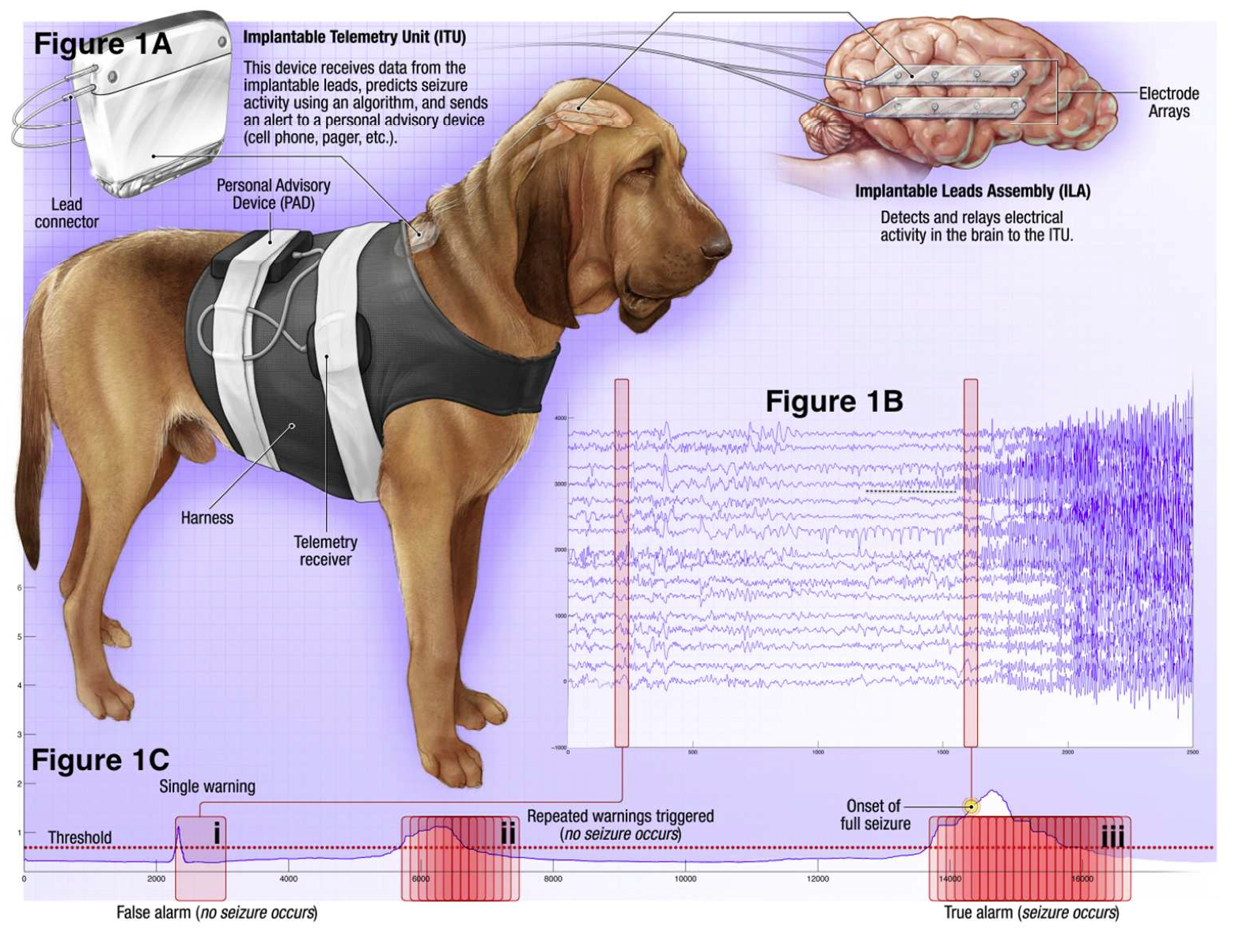 DogRecordingSystem